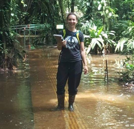 Spagnoli walking through the La Selva wetl和s in 哥斯达黎加